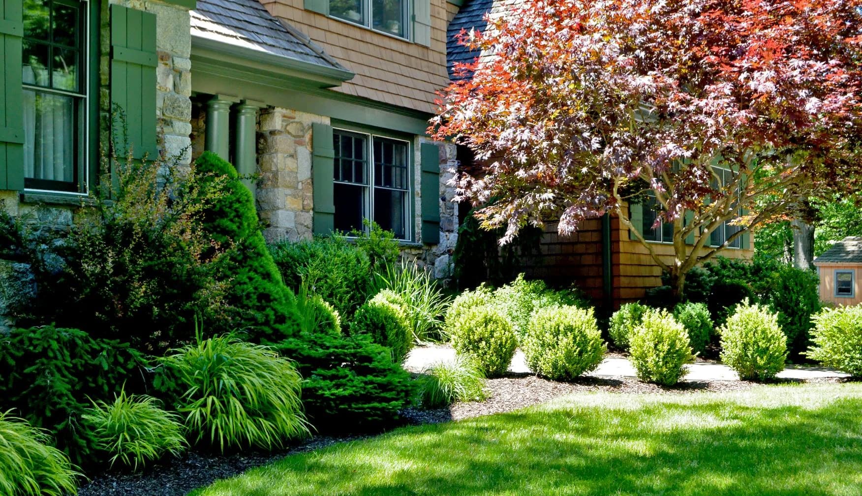 Planting in Bellevue